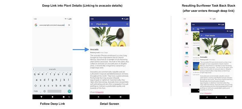 Рисунок 4 Переход по глубокой ссылке заменяет существующий бэкстек для приложения Sunflower