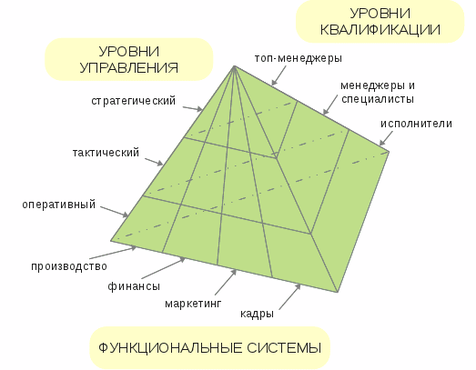 Функциональные признаки - Уровни управления - Квалификация персонала